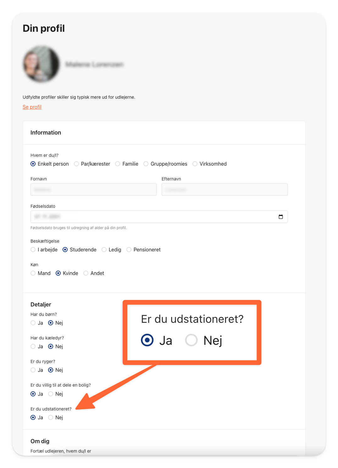 Er du udstationeret?.png